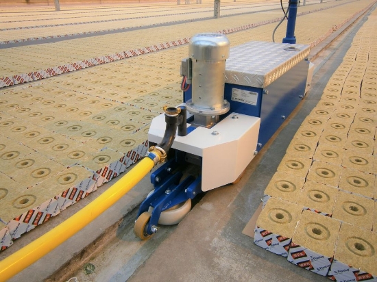 Afbeeldingen van WCR Elektro Scooter