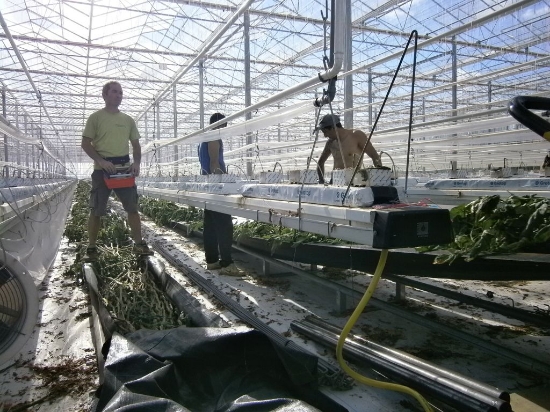 Afbeeldingen van Afstandsbediening BCC/SCC