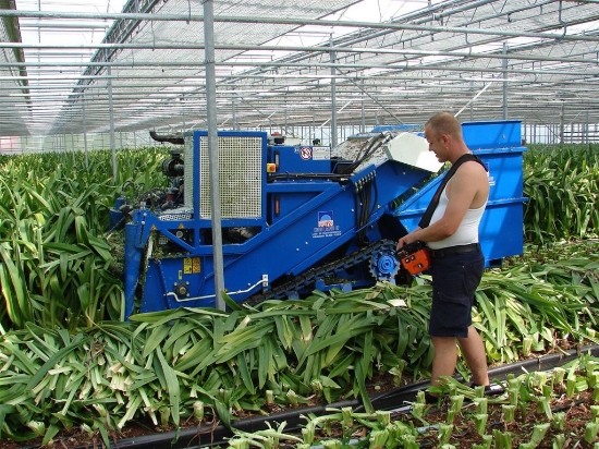 Afbeeldingen van Rupsversnipperaar met container
