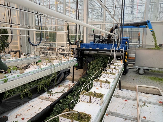 Afbeeldingen van Bio Chopper RZE Elektrische Gewasversnipperaar