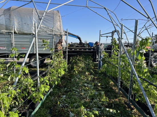 Afbeeldingen van Bio Chopper PTO Gewasversnipperaar