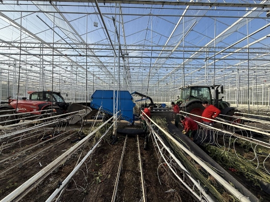 Afbeeldingen van Bio Chopper PTO Gewasversnipperaar