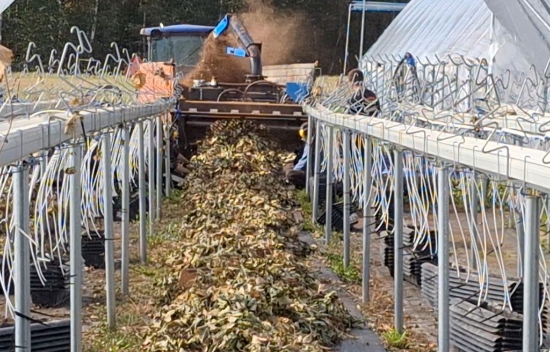 Afbeeldingen van Bio Chopper PTO Gewasversnipperaar