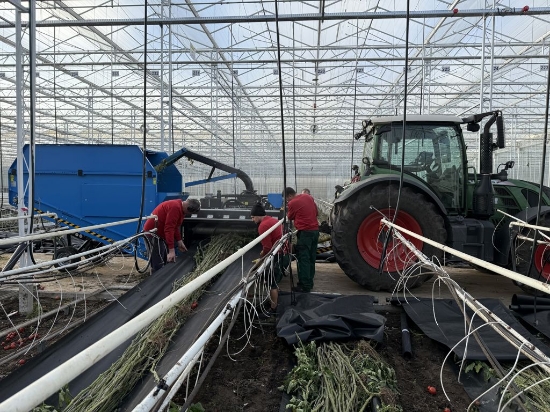 Afbeeldingen van Bio Chopper PTO Gewasversnipperaar