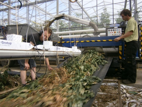 Picture of Bio Chopper Compact TF290 crop shredder