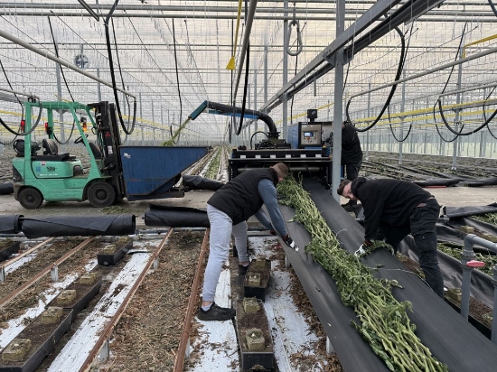 Afbeeldingen van Bio Chopper Compact TI530 Gewasversnipperaar