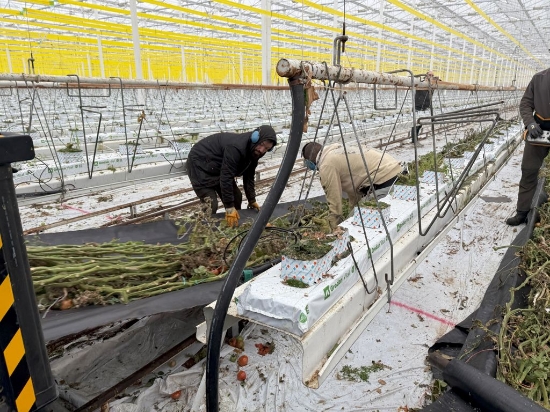 Afbeeldingen van Mega Chopper Compact PS200-780 Gewasversnipperaar