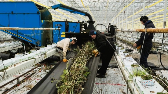 Afbeeldingen van Mega Chopper Compact PS200-780 Gewasversnipperaar