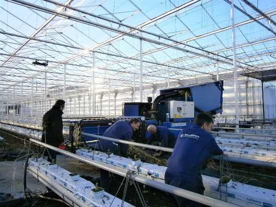 Afbeeldingen van Mega Bio Chopper HFC93 Gewasversnipperaar