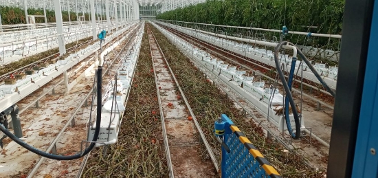 Afbeeldingen van Bio Hopper Compact EXT