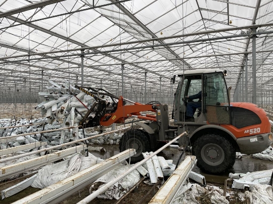 Afbeeldingen van Loofriek 218 - 14 Pennen