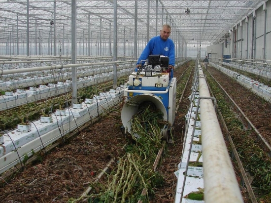 Picture of Super Twister Tomato Stem Binder