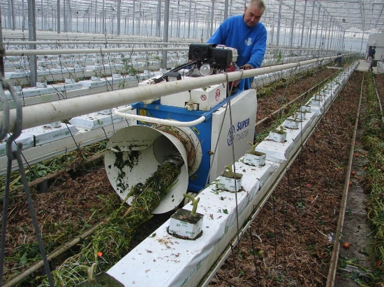 Picture of Super Twister Tomato Stem Binder