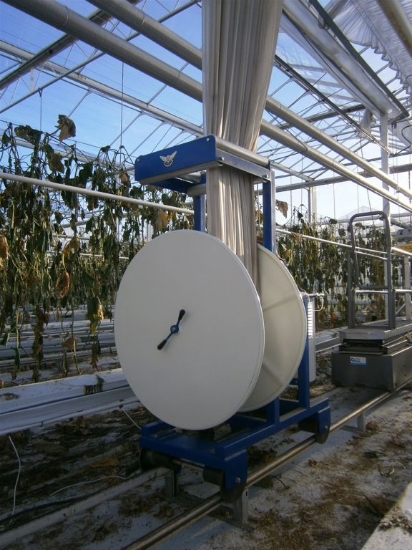 Afbeeldingen van ACE Roller