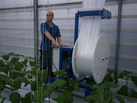 Afbeeldingen van ACE Roller