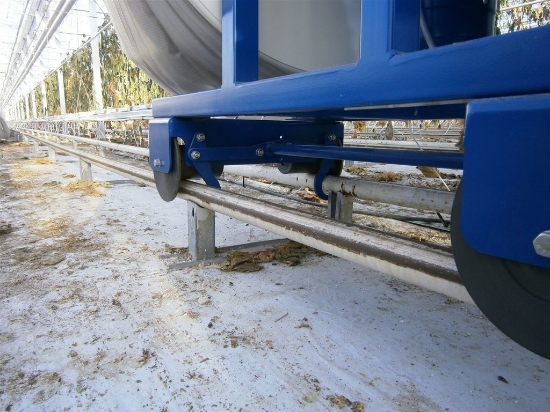 Afbeeldingen van ACE Roller