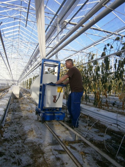 Afbeeldingen van ACE Roller