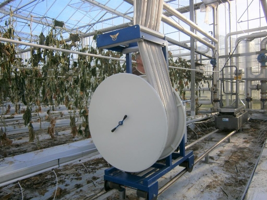 Picture of ACE Roller XL