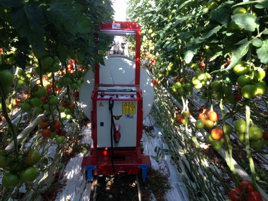 Picture of ACE Roller XL