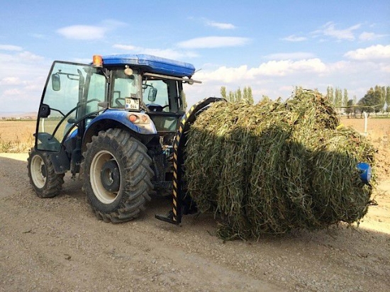 Picture of Multiroller