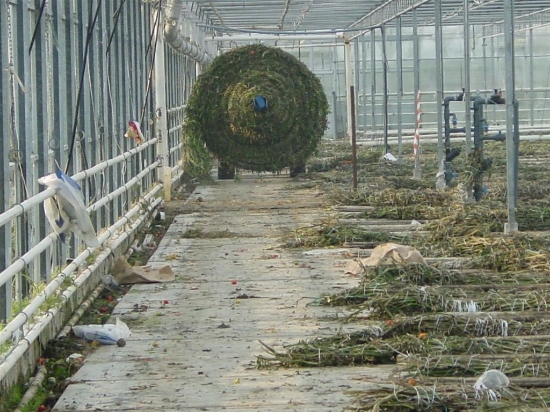 Picture of Multiroller