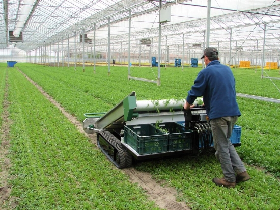 Afbeeldingen van LC1400-1630 Oogstmachine