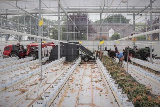 Picture of Bio Hopper XL PTO