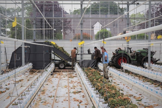 Picture of Bio Hopper XL PTO