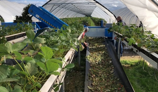 Afbeeldingen van Bio Hopper XL750 PTO