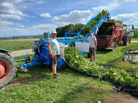 Picture of Bio Hopper EXTF